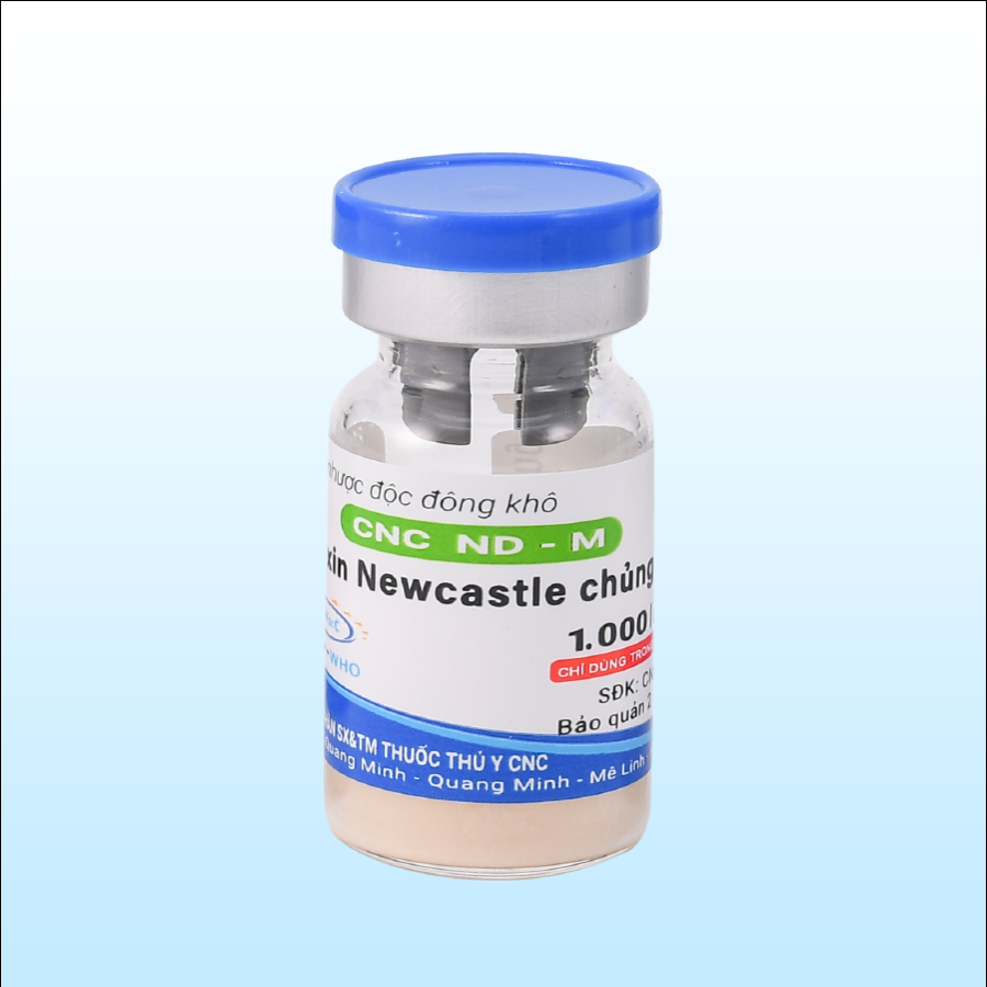 CNC ND - M là vắc xin nhược độc đông khô giúp tạo miễn dịch chủ động phòng bệnh Newcastle cho gà trên 8 tuần tuổi