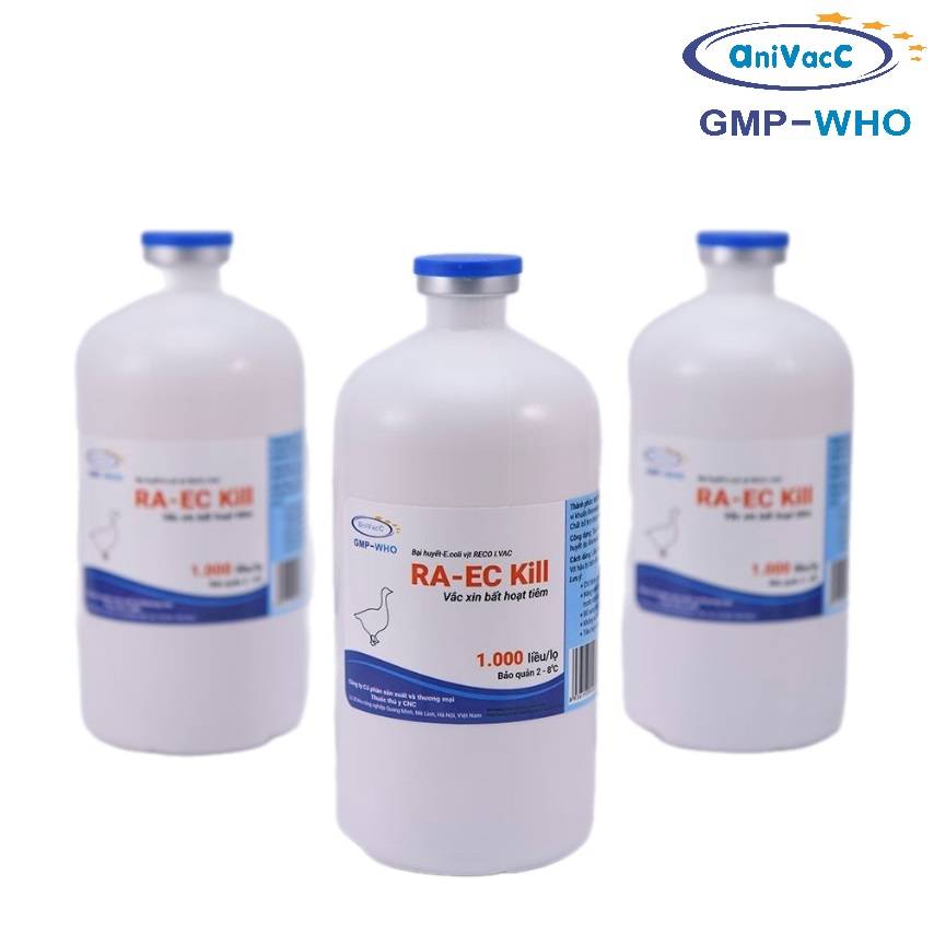 The CNC RA-EC Kill vaccine for ducks and geese is used to prevent septicemia caused by Riemerella anatipestifer and E. coli in ducks and geese.