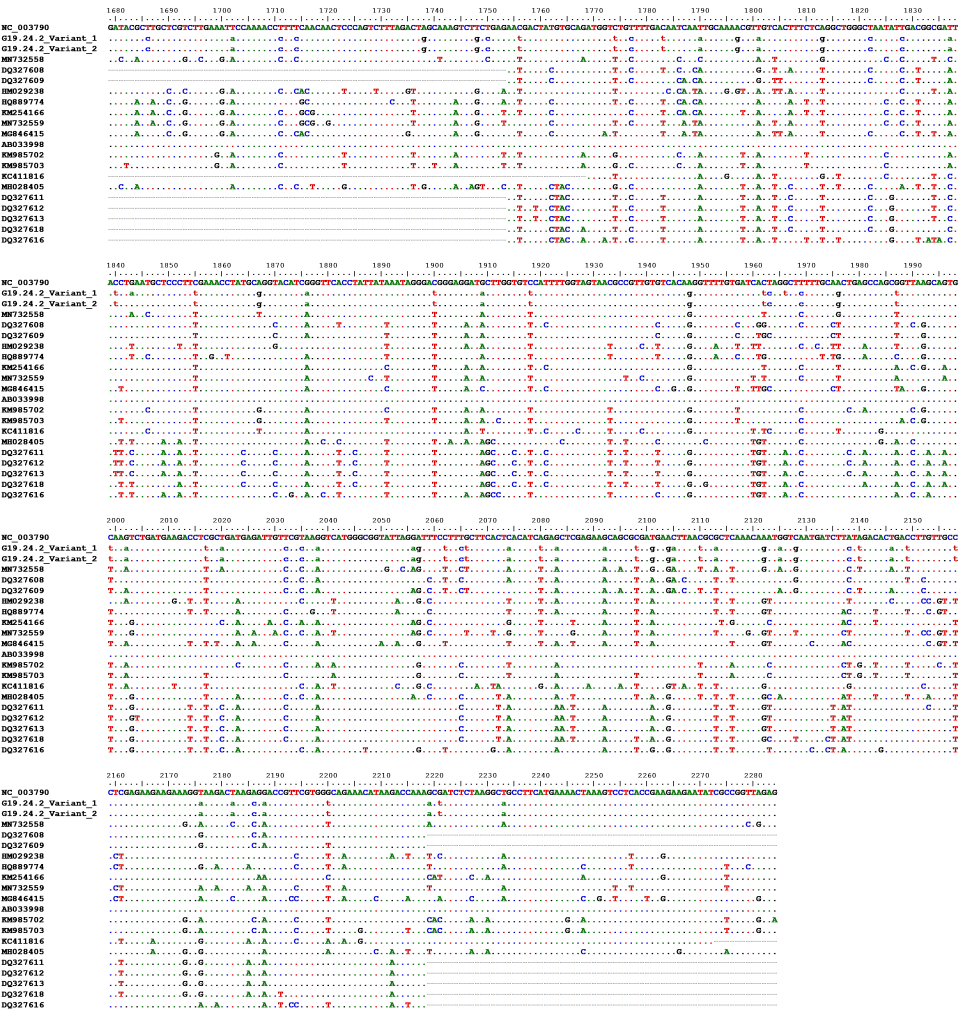 Hình 2. Giải mã và so sánh trình tự đoạn gen ORF1