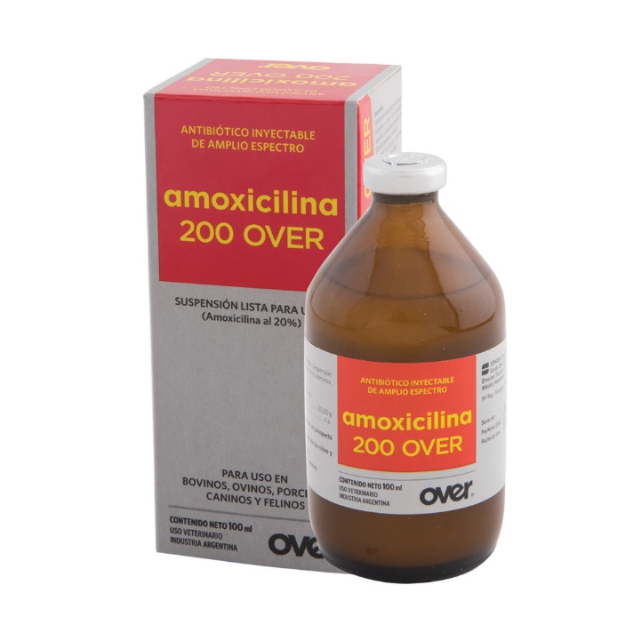 AMOXICILINA 200 OVER - Kháng sinh phổ rộng điều trị và kiểm soát các bệnh gây ra bởi các vi khuẩn mẫn cảm với amoxicillin.