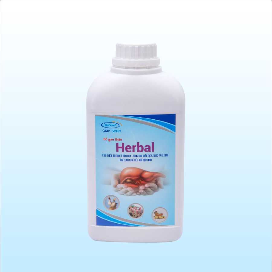 BỔ GAN THẬN (HERBAL): Kích thích tái tạo tế bào gan, nâng cao miễn dịch