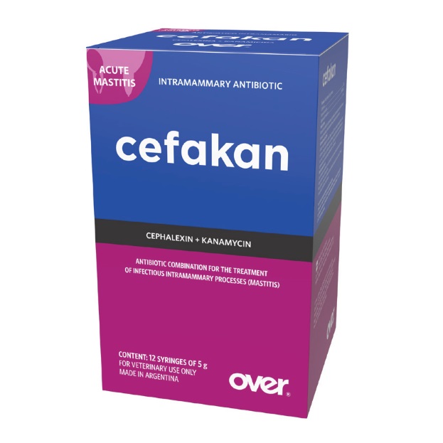 CEFAKAN - Kháng sinh chữa viêm vú