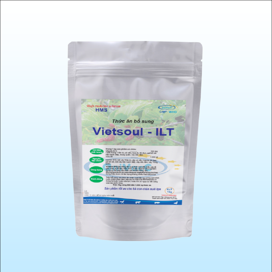 VIETSOUL-ILT: Thảo dược bổ sung Vitamin B12 hỗ trợ quá trình trao đổi chất, tế bào máu và tế bào thần kinh